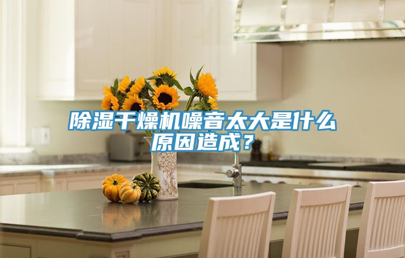 除濕干燥機(jī)噪音太大是什么原因造成？