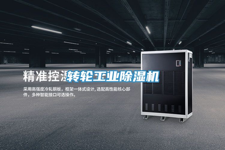轉(zhuǎn)輪工業(yè)除濕機