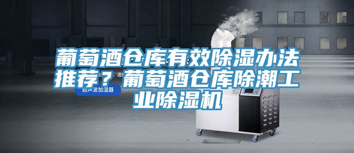 葡萄酒倉(cāng)庫(kù)有效除濕辦法推薦？葡萄酒倉(cāng)庫(kù)除潮工業(yè)除濕機(jī)