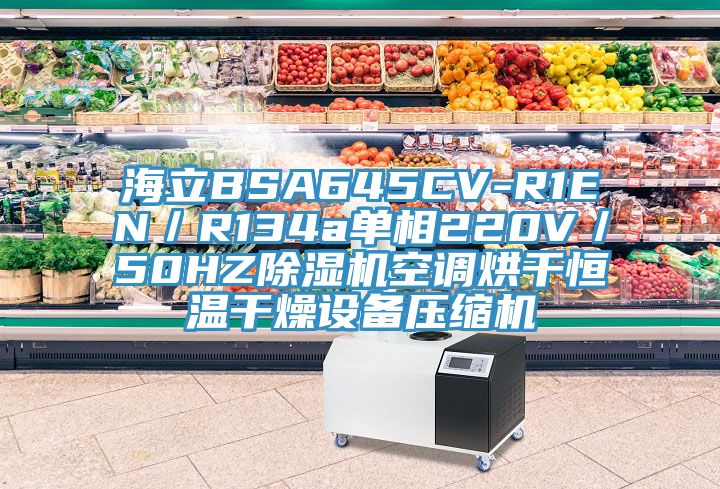 海立BSA645CV-R1EN／R134a單相220V／50HZ除濕機空調(diào)烘干恒溫干燥設(shè)備壓縮機