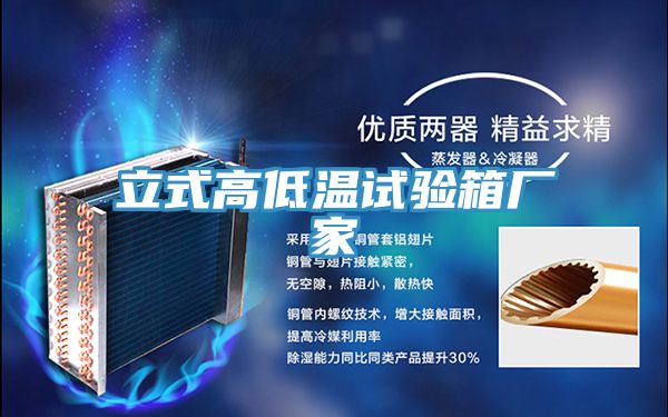 立式高低溫試驗(yàn)箱廠家