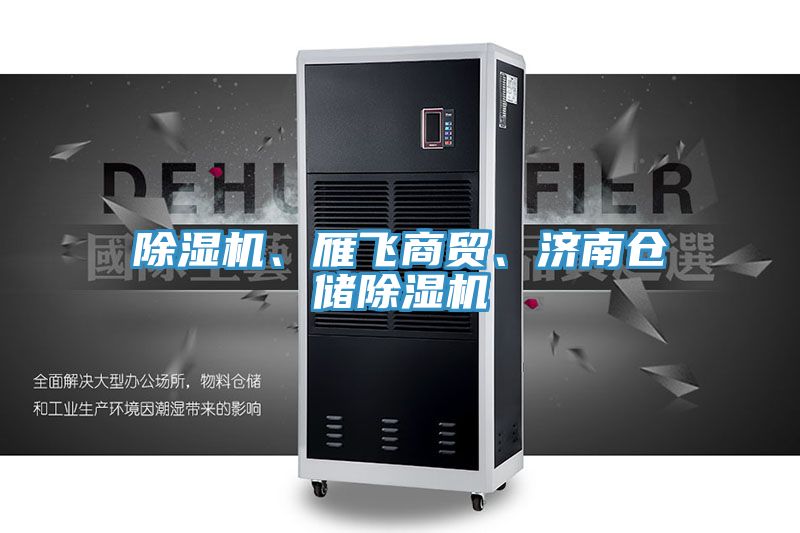 除濕機(jī)、雁飛商貿(mào)、濟(jì)南倉(cāng)儲(chǔ)除濕機(jī)