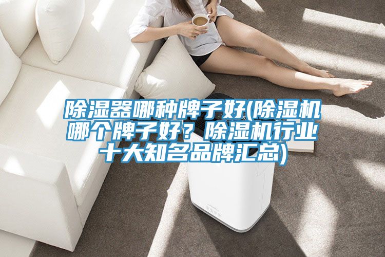 除濕器哪種牌子好(除濕機(jī)哪個(gè)牌子好？除濕機(jī)行業(yè)十大知名品牌匯總)