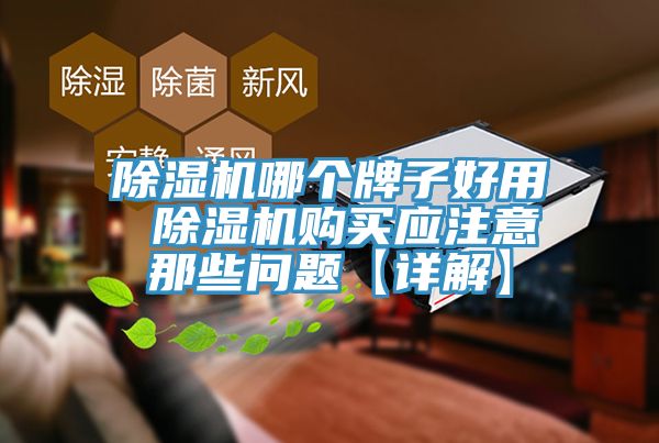 除濕機(jī)哪個牌子好用 除濕機(jī)購買應(yīng)注意那些問題【詳解】