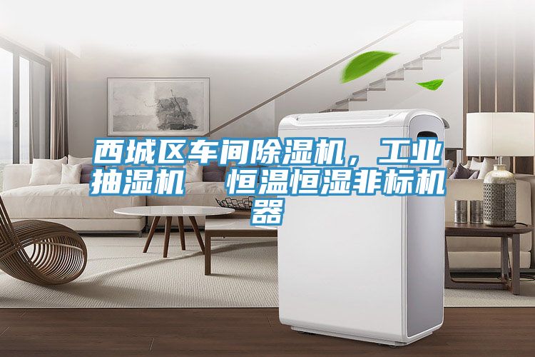 西城區(qū)車間除濕機(jī)，工業(yè)抽濕機(jī)  恒溫恒濕非標(biāo)機(jī)器
