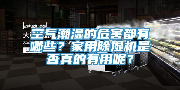 空氣潮濕的危害都有哪些？家用除濕機(jī)是否真的有用呢？