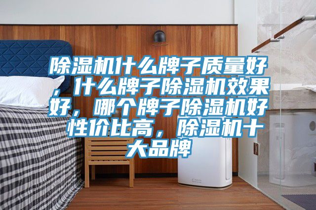 除濕機(jī)什么牌子質(zhì)量好，什么牌子除濕機(jī)效果好，哪個(gè)牌子除濕機(jī)好 性價(jià)比高，除濕機(jī)十大品牌