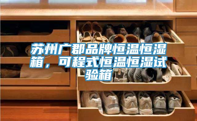 蘇州廣郡品牌恒溫恒濕箱，可程式恒溫恒濕試驗(yàn)箱