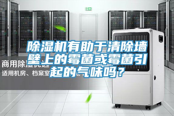 除濕機有助于清除墻壁上的霉菌或霉菌引起的氣味嗎？