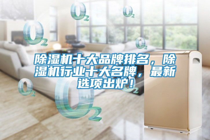 除濕機十大品牌排名，除濕機行業(yè)十大名牌，最新選項出爐！