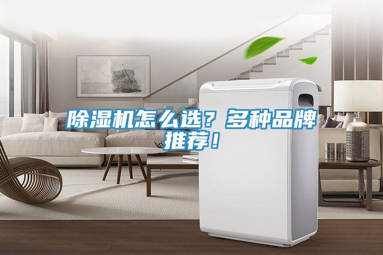 除濕機怎么選？多種品牌推薦！