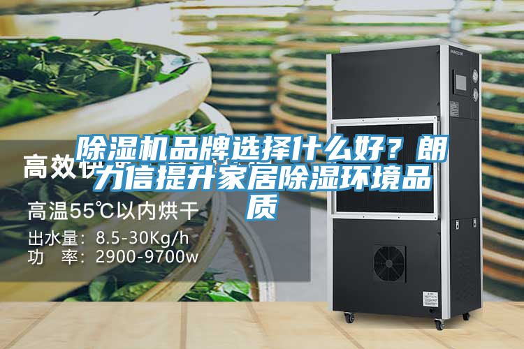 除濕機(jī)品牌選擇什么好？朗力信提升家居除濕環(huán)境品質(zhì)