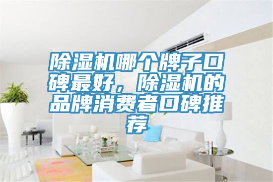 除濕機(jī)哪個(gè)牌子口碑最好，除濕機(jī)的品牌消費(fèi)者口碑推薦