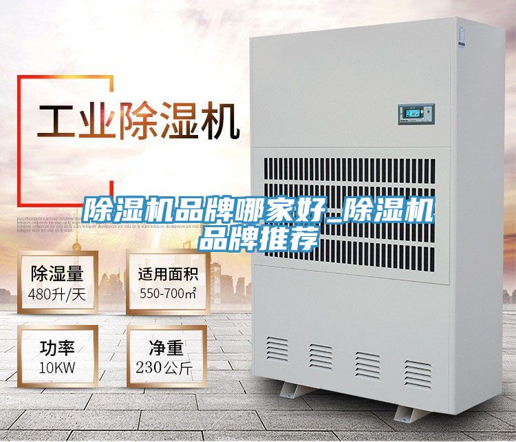 除濕機(jī)品牌哪家好_除濕機(jī)品牌推薦