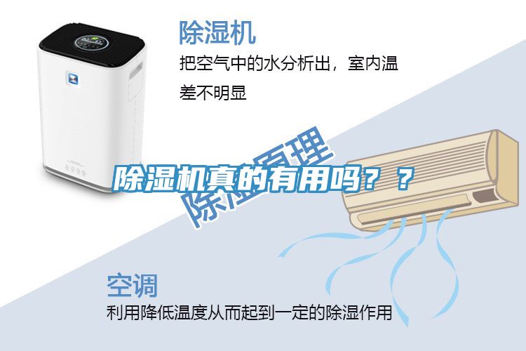 除濕機(jī)真的有用嗎？？