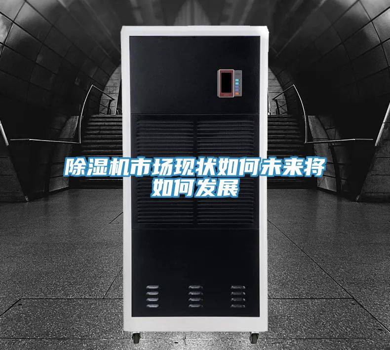 除濕機市場現(xiàn)狀如何未來將如何發(fā)展