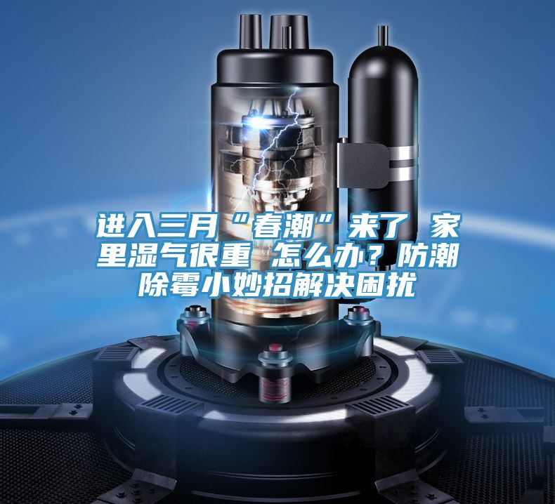 進(jìn)入三月“春潮”來了 家里濕氣很重 怎么辦？防潮除霉小妙招解決困擾