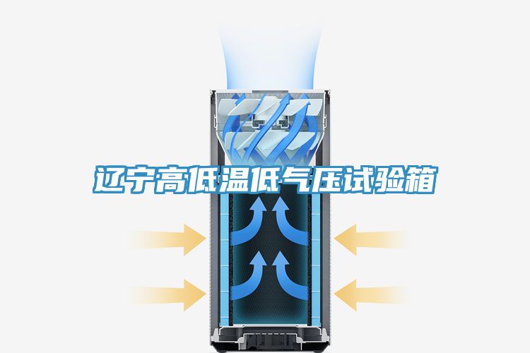 遼寧高低溫低氣壓試驗箱