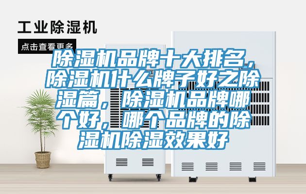 除濕機(jī)品牌十大排名，除濕機(jī)什么牌子好之除濕篇，除濕機(jī)品牌哪個(gè)好，哪個(gè)品牌的除濕機(jī)除濕效果好