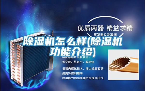 除濕機(jī)怎么樣(除濕機(jī)功能介紹)