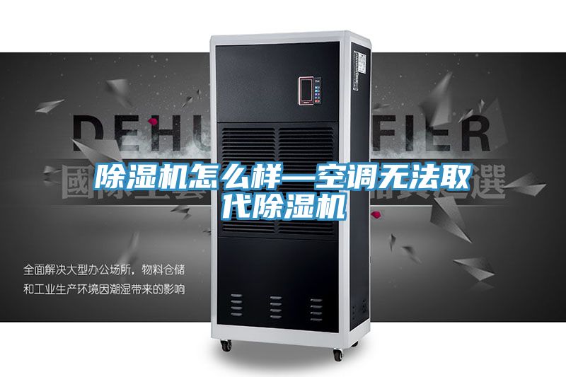 除濕機(jī)怎么樣—空調(diào)無(wú)法取代除濕機(jī)
