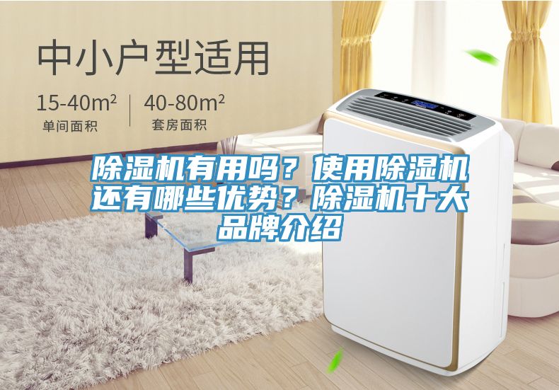 除濕機(jī)有用嗎？使用除濕機(jī)還有哪些優(yōu)勢(shì)？除濕機(jī)十大品牌介紹