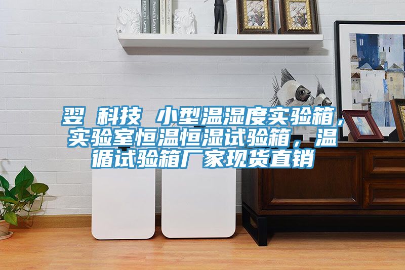 翌昇科技 小型溫濕度實(shí)驗(yàn)箱，實(shí)驗(yàn)室恒溫恒濕試驗(yàn)箱，溫循試驗(yàn)箱廠家現(xiàn)貨直銷