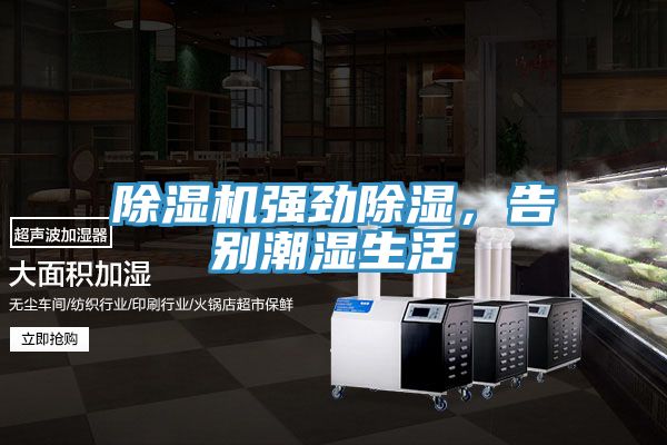 除濕機(jī)強(qiáng)勁除濕，告別潮濕生活