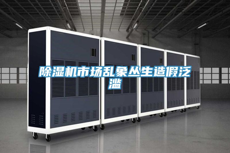 除濕機(jī)市場(chǎng)亂象叢生造假泛濫