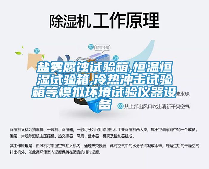 鹽霧腐蝕試驗(yàn)箱,恒溫恒濕試驗(yàn)箱,冷熱沖擊試驗(yàn)箱等模擬環(huán)境試驗(yàn)儀器設(shè)備