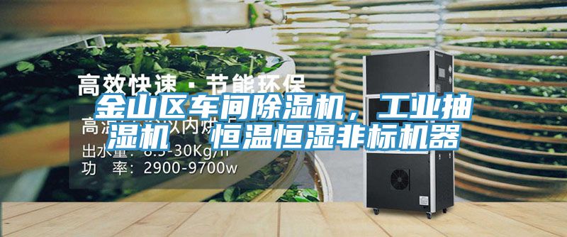 金山區(qū)車間除濕機(jī)，工業(yè)抽濕機(jī)  恒溫恒濕非標(biāo)機(jī)器