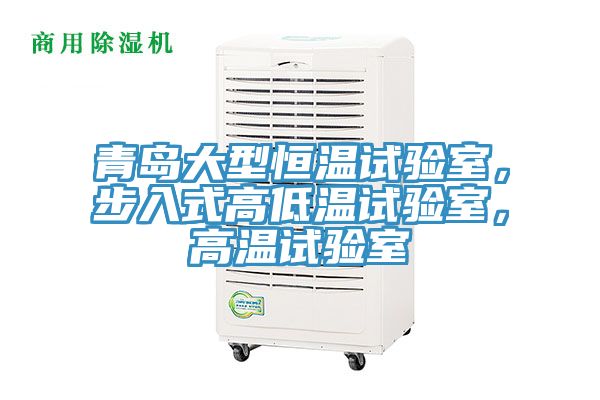 青島大型恒溫試驗室，步入式高低溫試驗室，高溫試驗室