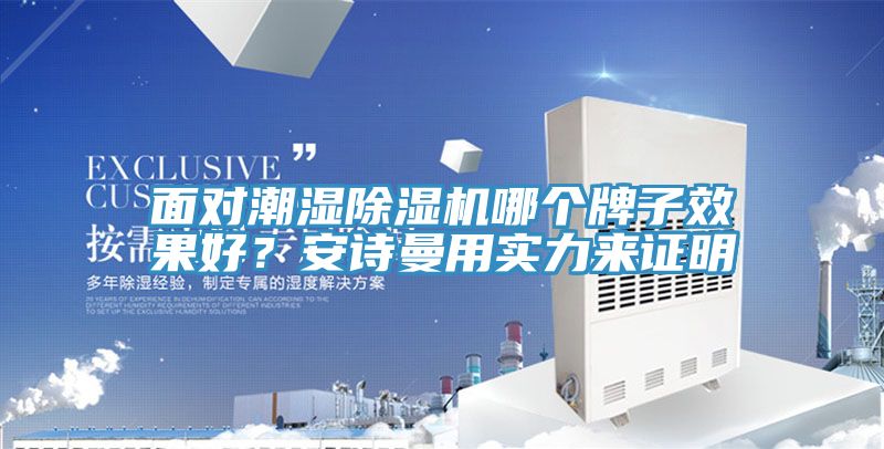 面對潮濕除濕機(jī)哪個(gè)牌子效果好？安詩曼用實(shí)力來證明
