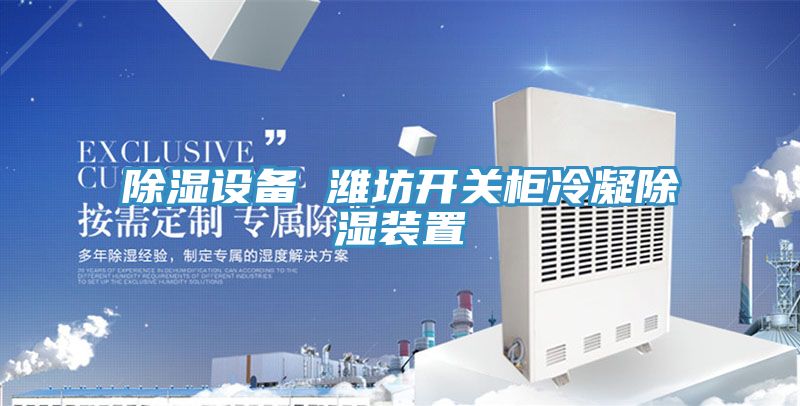 除濕設備 濰坊開關(guān)柜冷凝除濕裝置