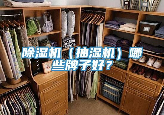 除濕機(jī)（抽濕機(jī)）哪些牌子好？