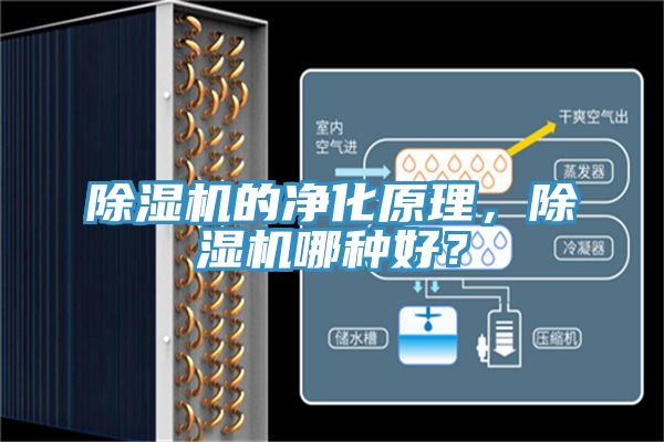除濕機(jī)的凈化原理，除濕機(jī)哪種好？