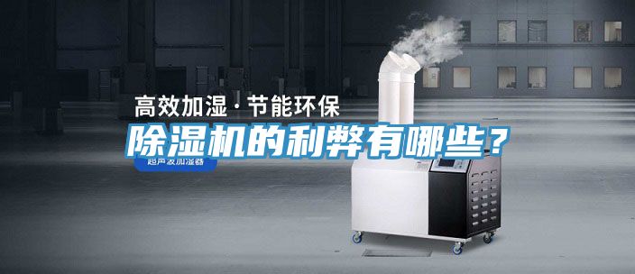 除濕機(jī)的利弊有哪些？