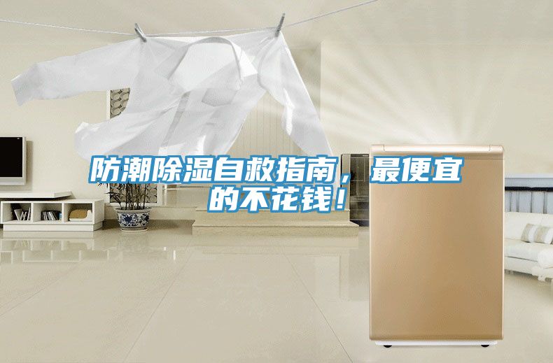 防潮除濕自救指南，最便宜的不花錢！