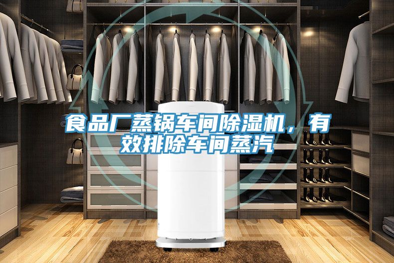 食品廠蒸鍋車間除濕機，有效排除車間蒸汽