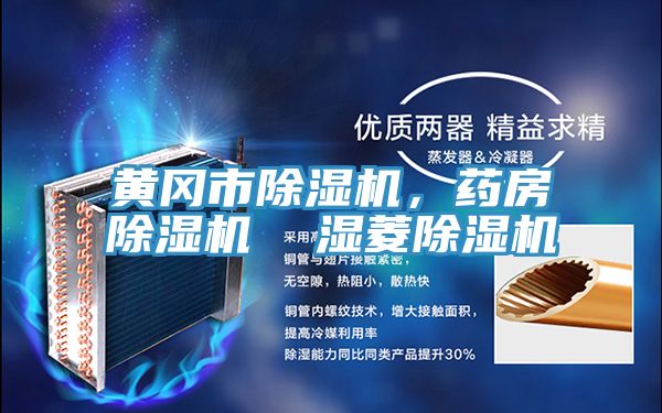 黃岡市除濕機(jī)，藥房除濕機(jī)  濕菱除濕機(jī)