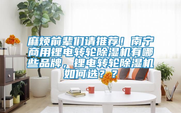 麻煩前輩們請(qǐng)推薦！南寧商用鋰電轉(zhuǎn)輪除濕機(jī)有哪些品牌，鋰電轉(zhuǎn)輪除濕機(jī)如何選？？