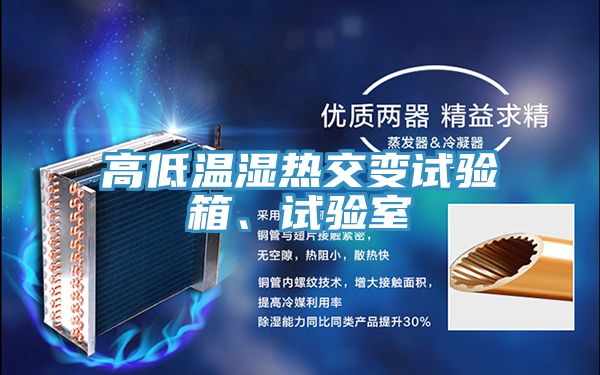 高低溫濕熱交變?cè)囼?yàn)箱、試驗(yàn)室