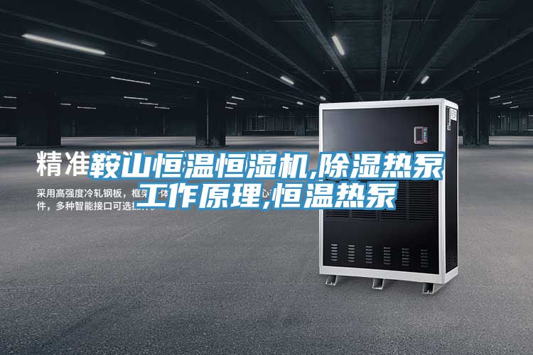 鞍山恒溫恒濕機(jī),除濕熱泵工作原理,恒溫?zé)岜?></div>
								<div   id=