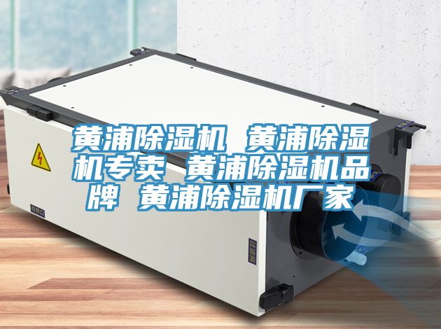 黃浦除濕機(jī) 黃浦除濕機(jī)專(zhuān)賣(mài) 黃浦除濕機(jī)品牌 黃浦除濕機(jī)廠家