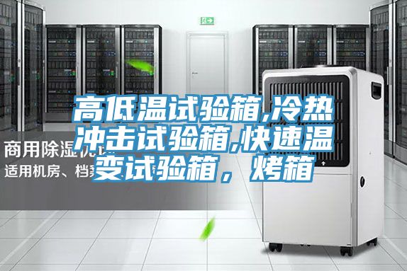 高低溫試驗(yàn)箱,冷熱沖擊試驗(yàn)箱,快速溫變?cè)囼?yàn)箱，烤箱