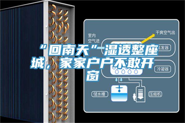 “回南天”濕透整座城，家家戶戶不敢開窗