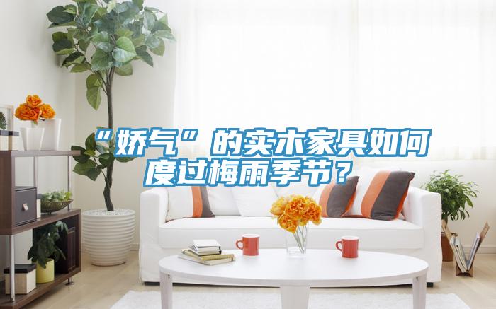 “嬌氣”的實木家具如何度過梅雨季節(jié)？