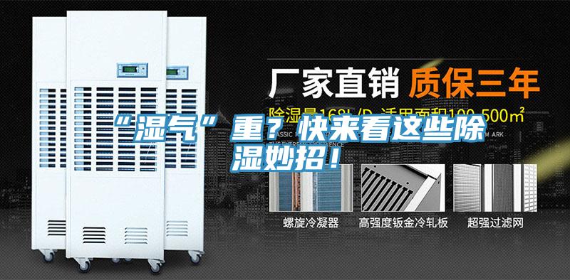 “濕氣”重？快來看這些除濕妙招！