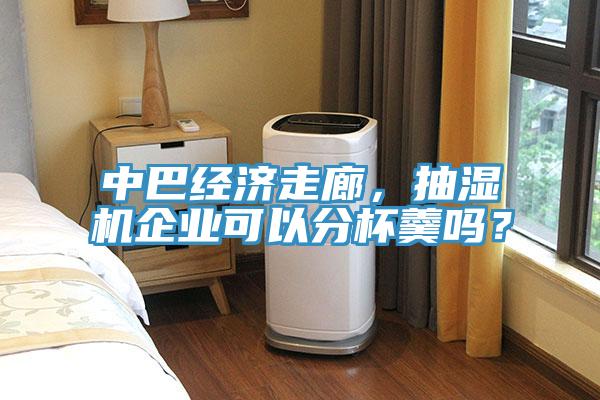 中巴經(jīng)濟走廊，抽濕機企業(yè)可以分杯羹嗎？