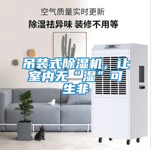 吊裝式除濕機，讓室內(nèi)無“濕”可生非